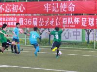 摩洛哥VS马达加斯加直播_摩洛哥VS马达加斯加直播观看免费_摩洛哥VS马达加斯加